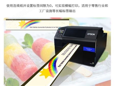 物流外箱标签打印机 彩色标签打印机 爱普生CW-6530A