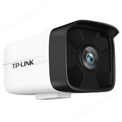 TP-LINK TL-IPC534HSP  300万像素PoE红外音频网络摄像机