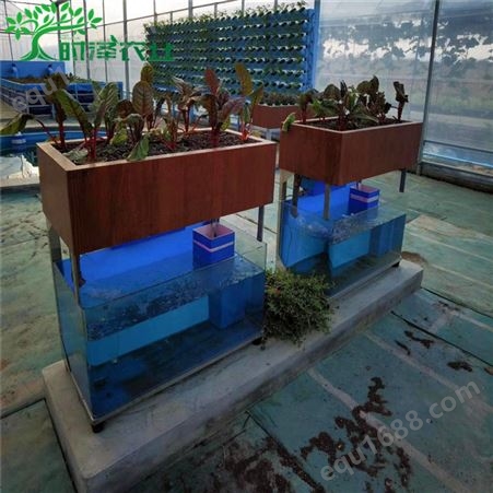 时泽 户外阳台鱼菜共生技术 蟹菜共生生态循环养殖系统施工设计