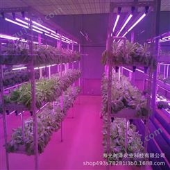 设施农业植物工厂 无土栽培装备 蔬菜植物种植架智慧种植