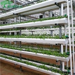 黄瓜基质栽培无土栽培 玻璃温室立体栽培系统 智能无土栽培模式