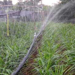 丰谷 微喷带节水灌溉 雾化灌溉微喷灌溉设备自动浇水器水带专业生产 批发厂家