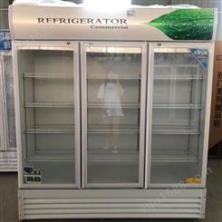 特锐德 多功能 立式风冷展示柜 商场透明饮料冷藏柜 商用冷柜
