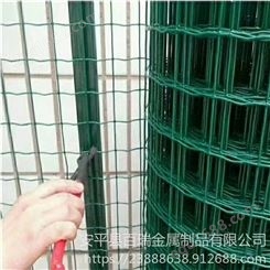 家禽养殖围栏网 绿色铁丝网价格 绿色成卷护栏网 荷兰网现货供应