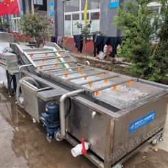全自动多功能食堂蔬菜清洗机 1200型冷水水温果蔬类洗菜机
