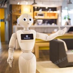 四川本地智能机器人租赁天租大堂服务机器人