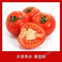 番茄粉天津秀谷雾干燥番茄粉提取物西红柿果蔬粉易溶烘焙20kg