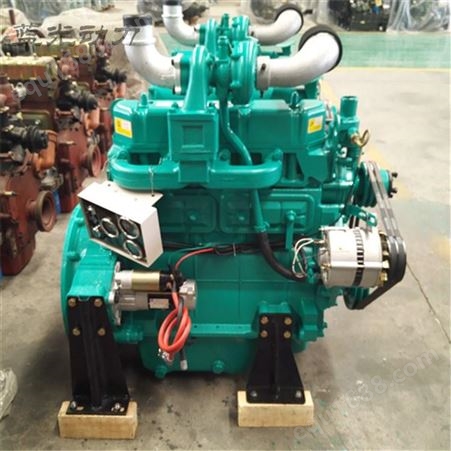 潍坊华东4108AZG柴油机 带气泵转向助力泵
