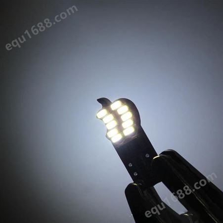 LED汽车灯汽车led灯T10 3014 20SMD车厢灯 装饰灯 AK1985