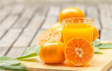 橙子汁果饮品批发