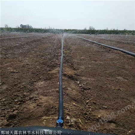 江西赣州灌溉设备 农业蔬菜微喷带