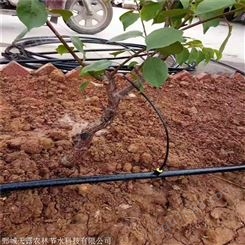 果树灌溉设备 滴灌滴头 水肥一体化