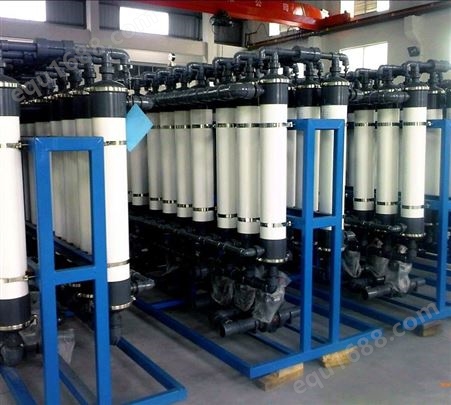 EDI反渗透超纯水系统 化工超纯水设备 去离子水设备  全自动化