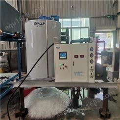 上海管冰机  工业块冰机 海水船用片冰机 厂家批发 极力制冷