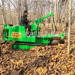 出售座驾式挖树机 强劲带土球挖树机 柴油履带式挖树机