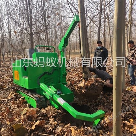 出售座驾式挖树机 强劲带土球挖树机 柴油履带式挖树机