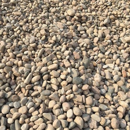 鹅卵石生产供应商 秦皇岛水处理鹅卵石 变压器鹅卵石5-8mm