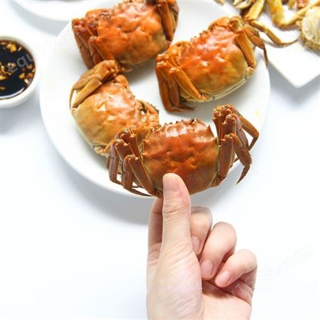 2021年8月新上市清水螃蟹大闸蟹礼盒3.5两母蟹5只4.5两公蟹5只另外送2只698元