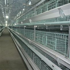 批发定制 畜牧养殖蛋鸡笼报价 肉鸡笼厂家 养殖场鸡笼子