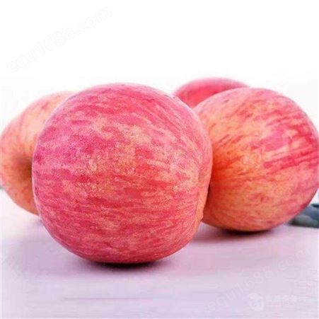 苹果市场价格分析报告 苹果树落果市场价