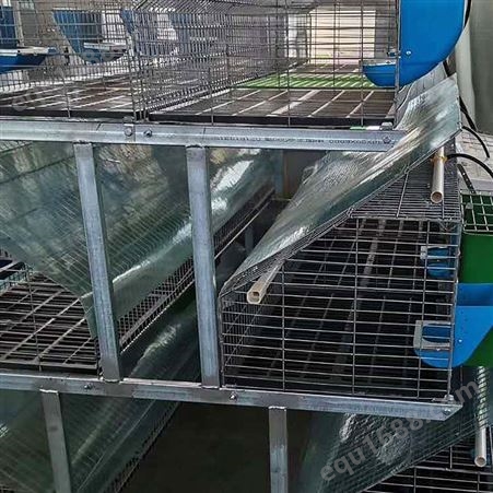 鸽子笼子批发 加工销售 12位广式鸽笼加工 家用小型三层鸽笼厂家