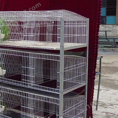 獭兔长毛兔母兔种兔笼子 Guangwang/广旺 种兔笼 设备现货