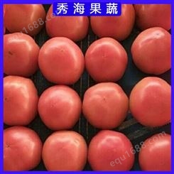 山东西红柿农家种植 自产自销 可生吃 出货精选好果