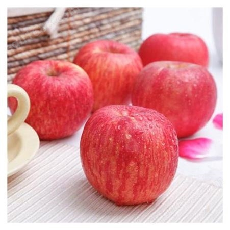 冷库苹果 套袋红富士 健康带皮即食果皮鲜红光滑 昊昌农产品