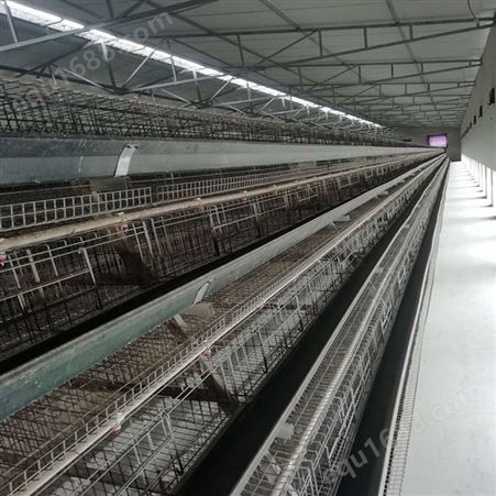小鸡笼价格 种鸡笼养殖鸡笼厂家 立式层叠鸡笼 现货供应
