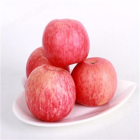 红富士苹果包装 大量求购冷库红富士苹果