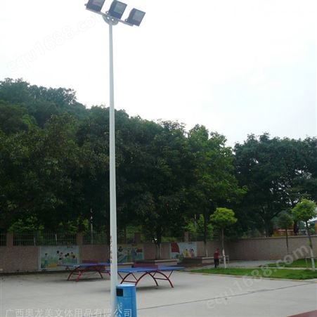 广西有灯杆厂家丨篮球场灯具丨庭院灯柱灯杆
