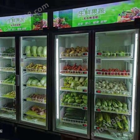 水果自动售卖机 生鲜智能售货机自动冷柜生产 速捷