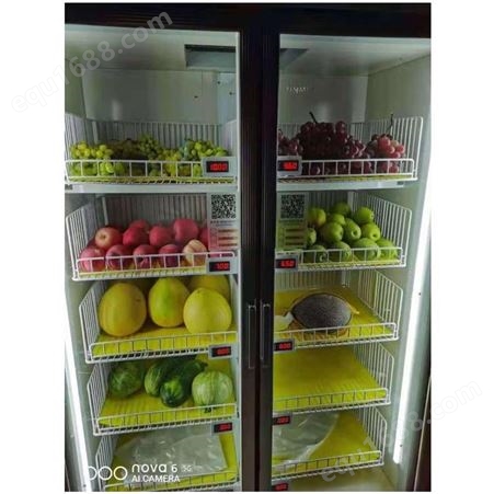水果自动售卖机 生鲜智能售货机自动冷柜生产 速捷