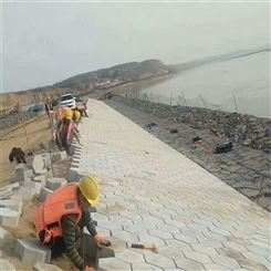 济宁嘉元工贸水利护坡砖定制欢迎