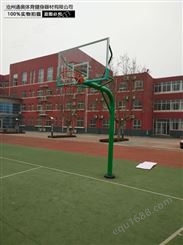 通奥TA-02篮球架 成人 户外 地埋式 固定式 篮球架 标准 现货 厂家 家用