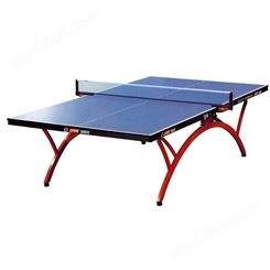 红双喜(DHS)专业乒乓球桌 家用训练健身折叠式乒乓球桌  球台T2828(附带网架、乒拍、乒球)