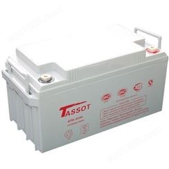 TASSOT蓄电池TST12V65AH报价