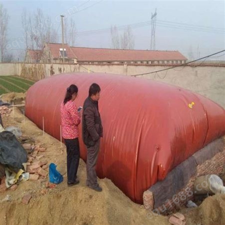 润龙 山东沼气池设备 沼气水囊袋设计安装 红泥储水池工程
