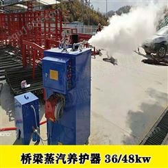 甘肃庆阳小型蒸汽锅炉电加热桥梁养护器