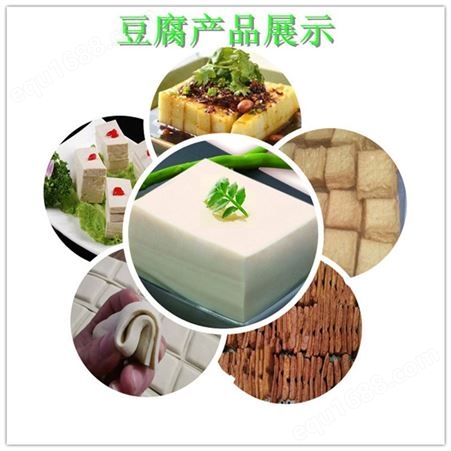 泰安豆腐机生产厂家 财顺顺全自动豆腐机长期供应