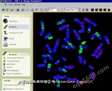 CGH 比较基因组杂交图像分析系统