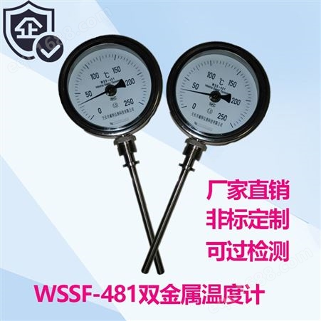 WSSN-481耐震表头万向型双金属温度计防腐不锈钢管道测温指针显示可调节表头