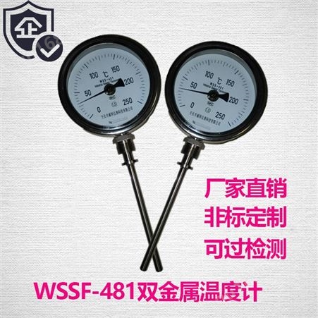 WSSN-481耐震表头万向型双金属温度计防腐不锈钢管道测温指针显示可调节表头