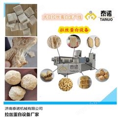 泰诺大豆拉丝蛋白膨化设备机械
