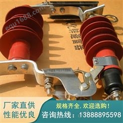 过电压保护避雷器 ZD-OP100线路保护器 电压保护器10KV高压防雷器