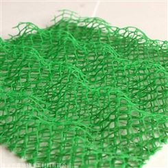 塑料三维植被网生产厂家