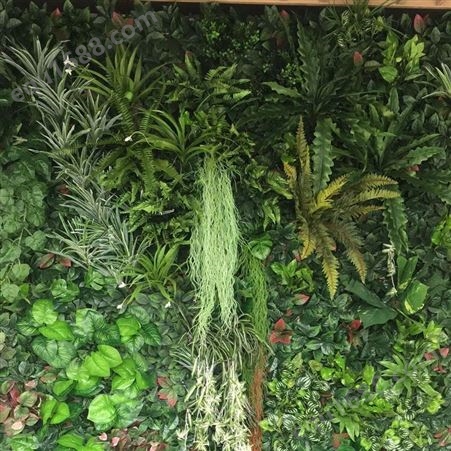 苏州写字楼生态植物墙施工 仿真绿植墙设计