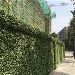 江苏植物墙用途  出售