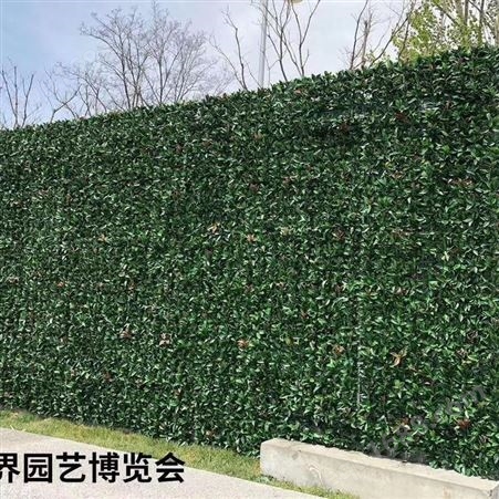 苏州绿色生态植物墙 垂直绿化植物墙