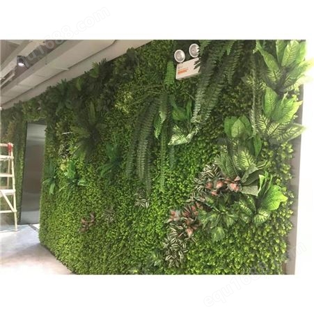 仿真植物墙价格 江苏净化空气植物墙造型